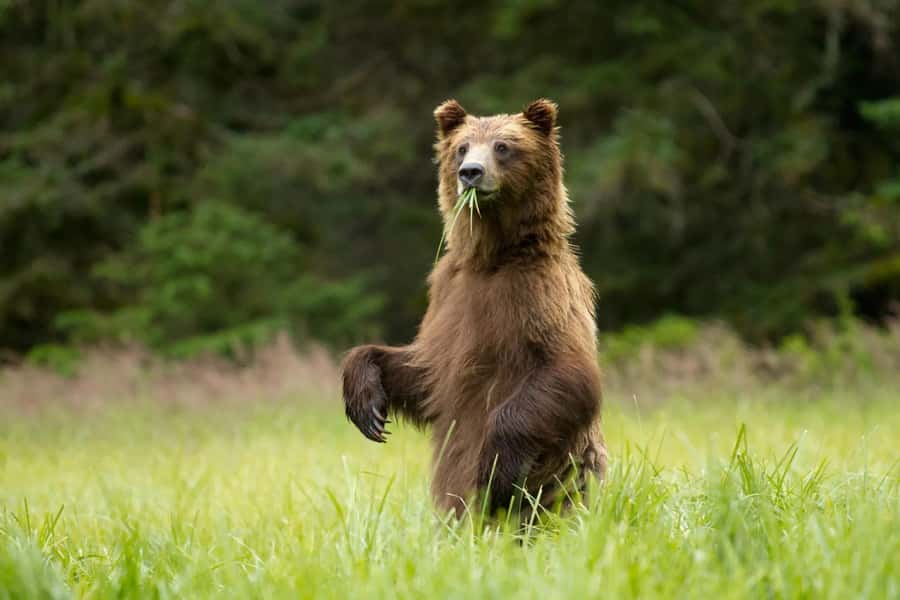Sitka: Private Full Day Wildlife Boat Tour with Beach Lunch - Departure Point and Meeting Details
