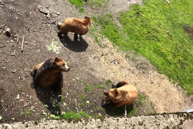 Sitka's only Private Simply Amazing Tour - The Tour Starts at Harrigan Centennial Hall in Sitka