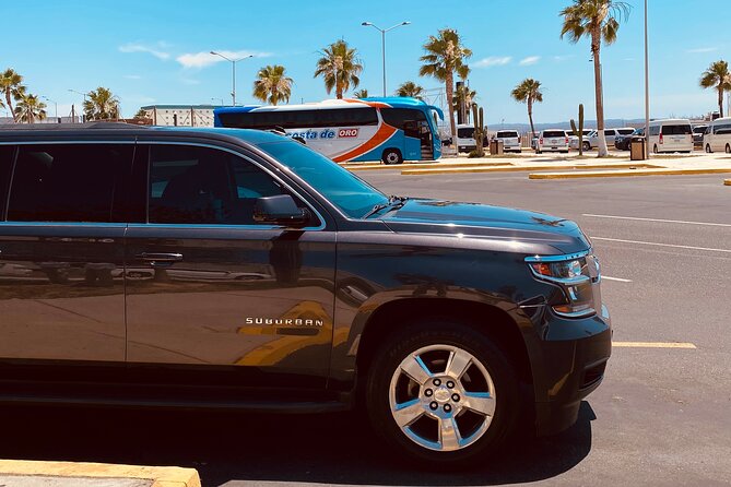 SJD Airport to San José Round trip - Meet Your Driver at Los Cabos Airport