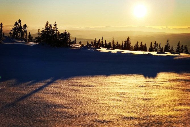 Skiing in winter wonderland - Scenic Trek Through Trondheim’s Winter Forests