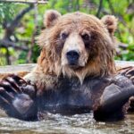 Skip the Line: Kamloops BC Wildlife Park Admission Ticket - Kamloops BC Wildlife Park Location and Arrival Options