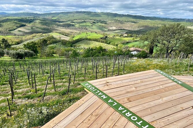 Skydeck - sunset picnic with 360° view of scenic Maremma hills - What to Expect During the Sunset Picnic