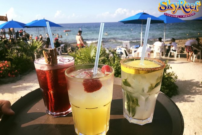 SkyReef All inclusive Beach pass package - Snorkeling Near Yucab Reef: Marine Life and Underwater Experience