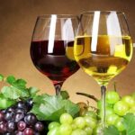 Skywalk, Madeira Wines Tasting and Vineyards 4x4 Experience - Exploring the Vineyards of Sao Vicente