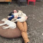 Sled Dog Adventure and Pan for Gold in the Yukon - Scenic Drive to White Pass with Wildlife Watching