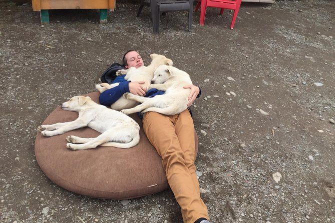 Sled Dog Adventure and Pan for Gold in the Yukon - Scenic Drive to White Pass with Wildlife Watching