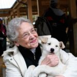 Sled Dog Discovery in Juneau - Meeting Location at Mount Roberts Tram Base