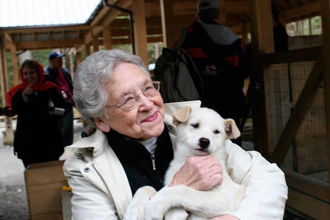 Sled Dog Discovery in Juneau - Meeting Location at Mount Roberts Tram Base