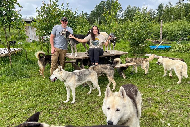 Sled Dog Kennel Tour - Learning About Life as a Sled Dog in Alaska