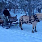 Sleigh or wagon ride in the arctic Country side - Exploring the Alta Countryside by Horse-Drawn Sleigh or Wagon