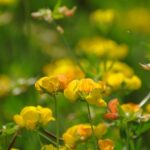 Slow Parma Food Experience Half Day Private Tour and Tasting - Explore Torrechiara’s Medieval Charm with a Photo Stop