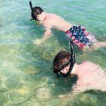 Small Group 2 Hour Dolphin Cruise with Snorkeling to Shell Key - Encountering Marine Wildlife Around Boca Ciega Bay