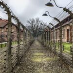 Small Group Auschwitz-Birkenau Guided Tour from Krakow ABTA - Meeting in Krakow’s Old Town and Transport Arrangements