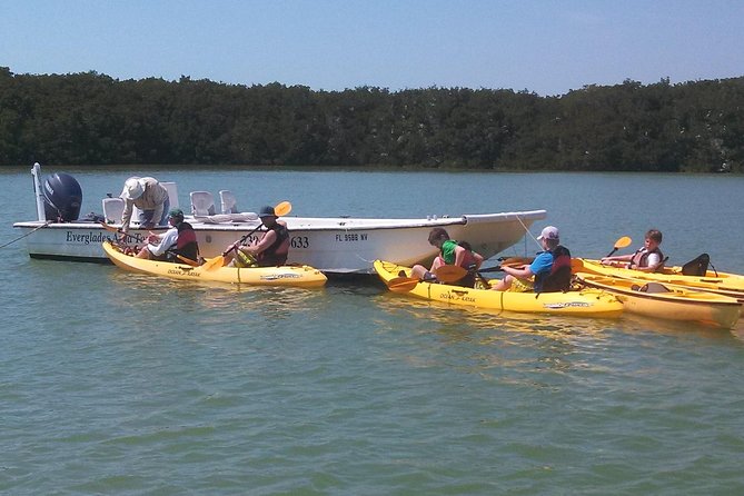 Small Group Boat, Kayak and Walking Guided Eco Tour Everglades - Navigating the Remote Areas of Everglades National Park