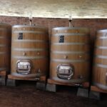 Small-Group Brunello di Montalcino Wine-Tasting Trip from Siena - Free Time in Montalcino Town