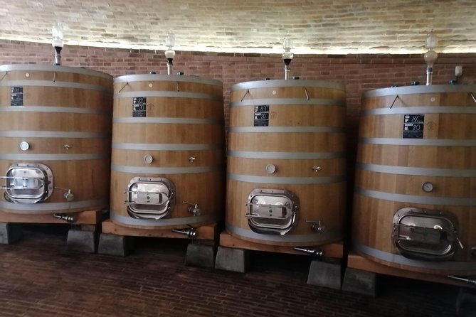 Small-Group Brunello di Montalcino Wine-Tasting Trip from Siena - Free Time in Montalcino Town