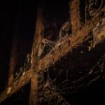 Small group Burgundy tour of Beaune with Wine Tasting from Dijon - Departure Point and Tour Structure in Dijon