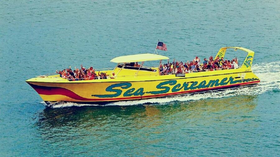 Small Group Clearwater Beach,Dolphin Watch Tour from Orlando - The Itinerary: From Orlando to Clearwater Beach