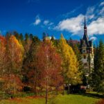 Small-Group Day Trip to Dracula's Castle, Brasov and Peles Castle - Scenic Drive into Transylvania and the Journey to Brasov