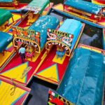 Small Group: Discover Xochimilco, Coyoacán, Frida Kahlo Museum and House - Starting at UNAM: A Brief Visit to Mexico’s University and Murals