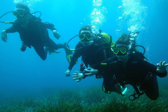 Small Group Diving Adventure in Menorca - The Underwater Walk: What to Expect During the Dive