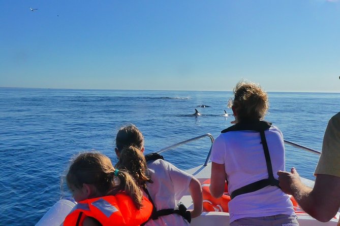 Small Group Dolphin and Wildlife Watching Tour in Faro - Exploring Faro’s Coastal and Ria Formosa Natural Park