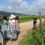 SMALL GROUP Experience Cheese & Chianti visit dairy & 3 wineries - Behind-the-Scenes at Organic Wineries
