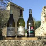 Small-Group Full-Day Private Wine Tour from Avignon - Exploring Iconic Villages: Châteauneuf-du-Pape