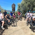 Small Group Guided E-bike Tour in Nice's Organic Vineyard - Scenic Bike Ride from Nice to the Vineyards