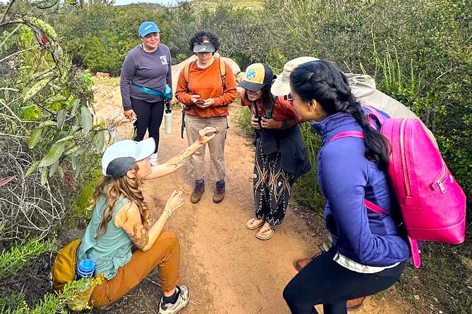 Small Group Hike Through San Diego's Heart and Soul - How Cypress Enhances the Experience with Deep Local Knowledge