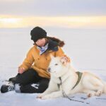 Small Group Husky Sledding Tour from Capital Region - Meeting the Greenlandic Huskies Near Mosfellsbær