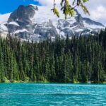 Small Group Joffre Lakes Hike and Whistler Day Trip - Hiking to Joffre Lakes: A Moderate Adventure