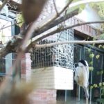 Small Group Make Your Own Bird Feeder Workshop in Cercedilla - Why This Workshop Is a Unique Experience