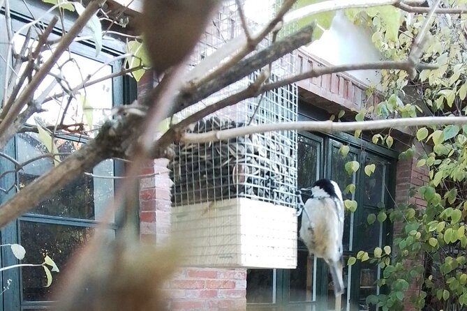 Small Group Make Your Own Bird Feeder Workshop in Cercedilla - Why This Workshop Is a Unique Experience