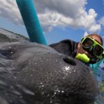 Small Group Manatee Snorkel Tour with In-Water Guide and Photographer - What the Snorkeling Experience Involves