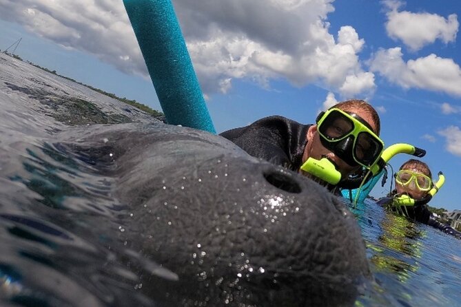 Small Group Manatee Snorkel Tour with In-Water Guide and Photographer - What the Snorkeling Experience Involves