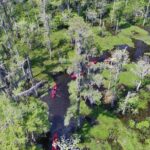 Small-Group Manchac Swamp Kayak Tour - Meeting Point and Transportation Details