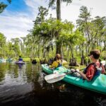 Small-Group Manchac Swamp Kayak Tour with Local Guide - Scenic Journey Through the Manchac Swamp Bayou