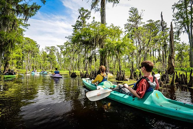 Small-Group Manchac Swamp Kayak Tour with Local Guide - Scenic Journey Through the Manchac Swamp Bayou