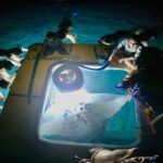 Small-Group Manta Ray Night Snorkel from Kona - The Guides and Their Approach to Marine Wildlife