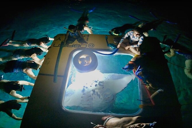 Small-Group Manta Ray Night Snorkel from Kona - The Guides and Their Approach to Marine Wildlife