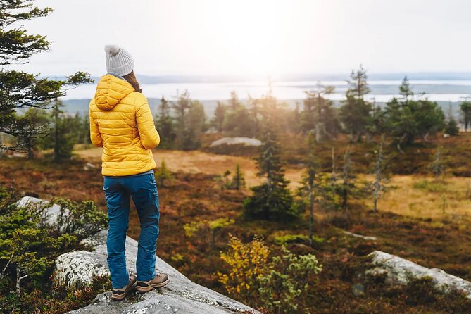 Small-Group Moose Wild Safari from Rovaniemi - Starting Point and Convenient Pickup in Rovaniemi