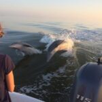 Small Group Motorboat Eco Tour of the Everglades - Wildlife Encounters: Dolphins, Birds, and Sea Turtles