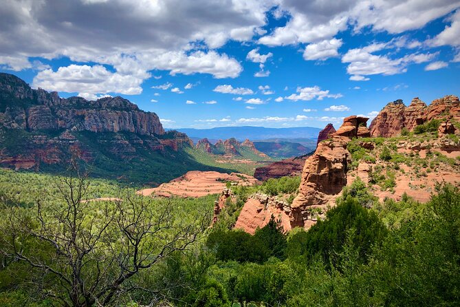 Small-Group or Private Grand Canyon with Sedona Tour from Phoenix - Scenic Drive Through Sonoran and Ponderosa Pine Forests