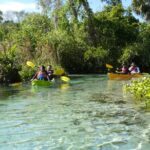 Small Group Rock Springs Run Eco Kayak Adventure - The Location: King’s Landing in Apopka, Florida