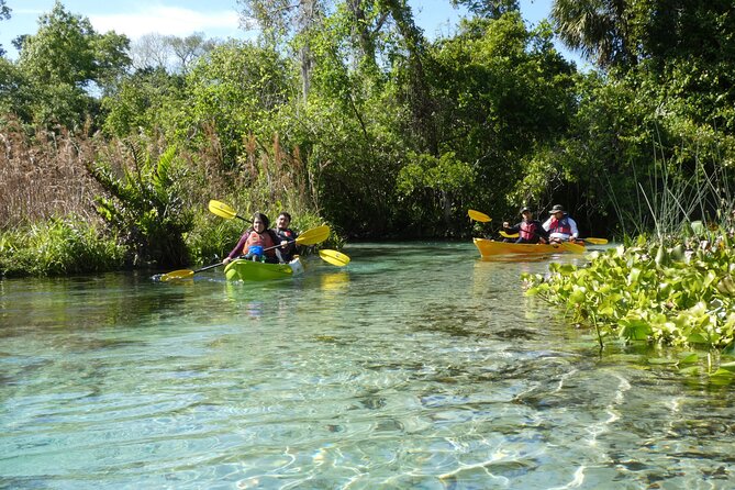 Small Group Rock Springs Run Eco Kayak Adventure - The Location: King’s Landing in Apopka, Florida