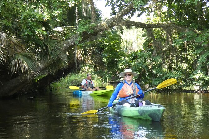 Small Group Scenic Wekiva River Kayak Tour near Orlando - The Starting Point at Katie’s Landing