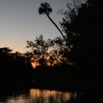 Small Group Sunset Paddle Among Manatees near Orlando - What the Tour Includes: Comfort and Safety First