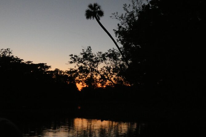 Small Group Sunset Paddle Among Manatees near Orlando - What the Tour Includes: Comfort and Safety First