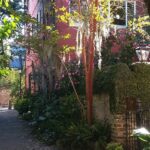 Small-Group Tour: Charleston Old Walled City Historical Walking Tour - Exploring Charleston’s Colonial Military and Architectural Heritage